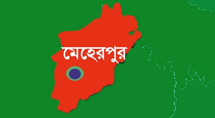 মেহেরপুরে সড়ক দুর্ঘটনায় যুবক নিহত