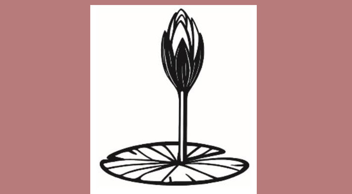 ব্যালটে যেমন থাকবে এনসিপির শাপলা কলি প্রতীক