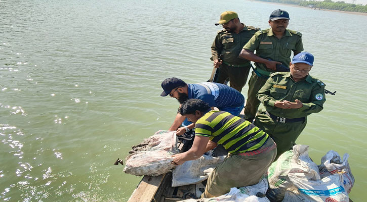 শ্যামনগরে ৮৬০ শামুক জব্দ, চুনা নদীতে অবমুক্ত