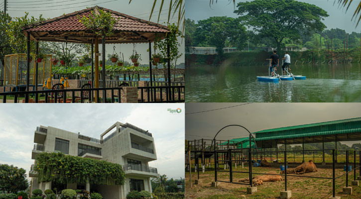 শহরের ব্যস্ততার মাঝে এক টুকরো স্বস্তি আমিন মোহাম্মদ এগ্রোতে