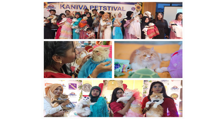 খুলনায় জমকালো আয়োজনের ‘ক্যাট শো’ মাতালো ৮০টি বিড়াল