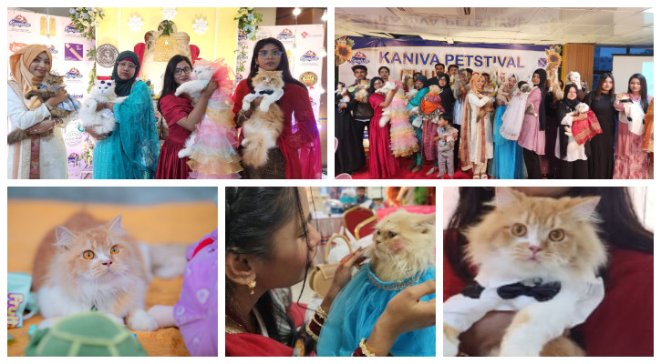 খুলনায় জমকালো আয়োজনের ‘ক্যাট শো’ মাতালো ৮০টি বিড়াল