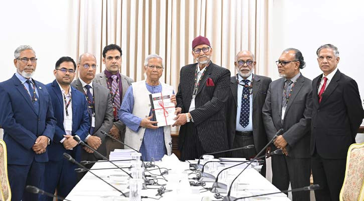 বিডিআর হত্যাকাণ্ডে সরাসরি জড়িত আ.লীগ, মূল সমন্বয়কারী তাপস: কমিশন