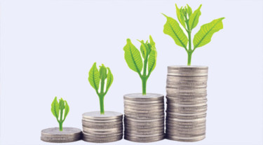 বাংলাদেশ ব্যাংকের সবুজ তহবিলে কালো থাবা