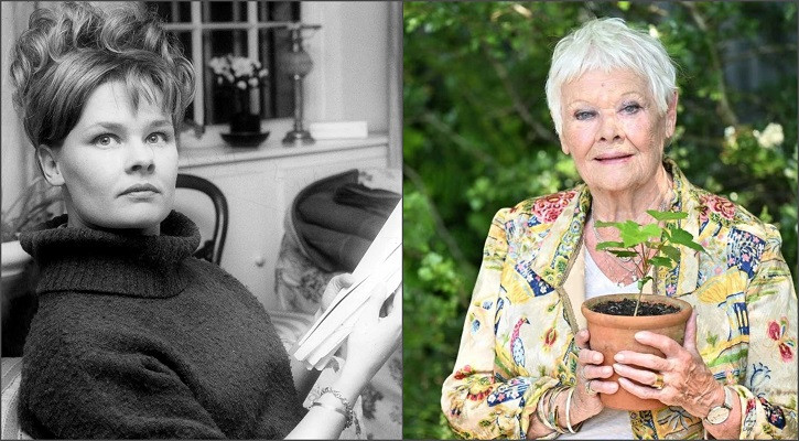 দৃষ্টিশক্তি চলে যাচ্ছে ‘ম্যাকবেথ’ অভিনেত্রী জুডির!