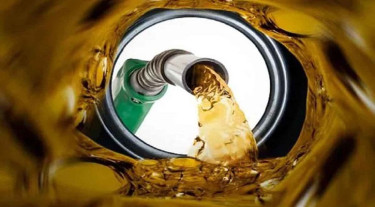 জ্বালানি তেলের দাম লিটারে বাড়ল ২ টাকা