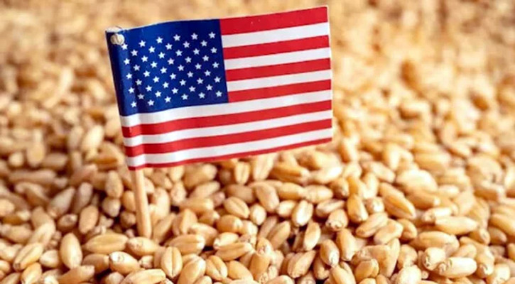 যুক্তরাষ্ট্র থেকে ৮৪২ কোটি টাকায় ২ লাখ ২০ হাজার টন গম কিনবে সরকার