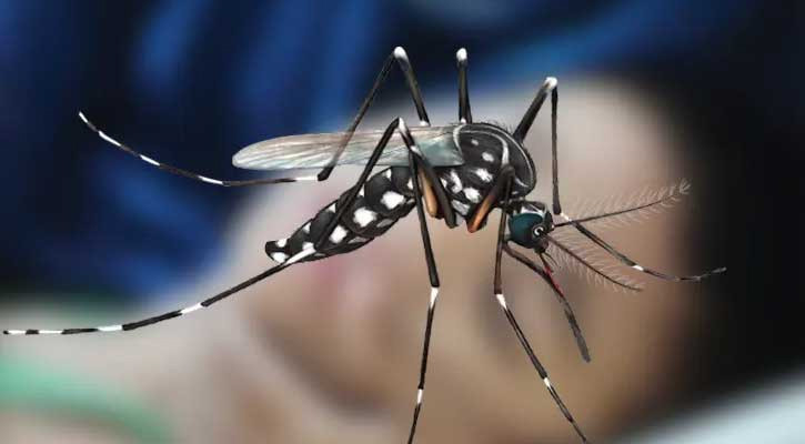 ডেঙ্গুতে মৃত্যু নেই, হাসপাতালে ভর্তি ২০০