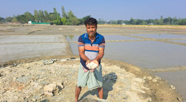 লবণের মাঠে চাষিদের হাহাকার