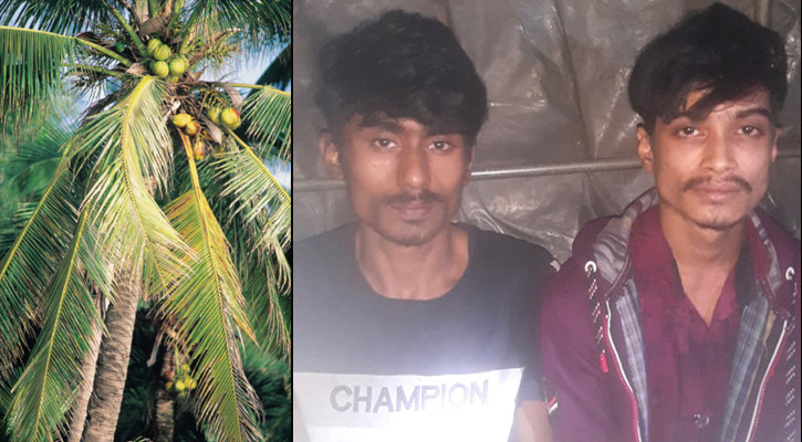 ডাব চুরি দেখে ফেলায় চোরদের হাতেই খুন হলেন বৃদ্ধ