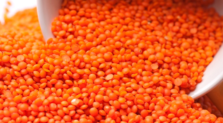 ৭২ টাকা কেজি দরে ১০ হাজার টন মসুর ডাল কেনার অনুমোদন