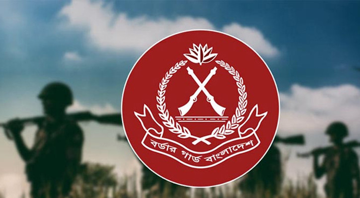 বিজিবির অভিযানে ১৬৮ কোটি ৩৮ লক্ষাধিক টাকার চোরাচালান পণ্য জব্দ