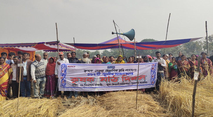 শ্যামনগরে কৃষক নেতৃত্বে ধান জাত গবেষণা, ১৬২টি জাতের মাঠ দিবস