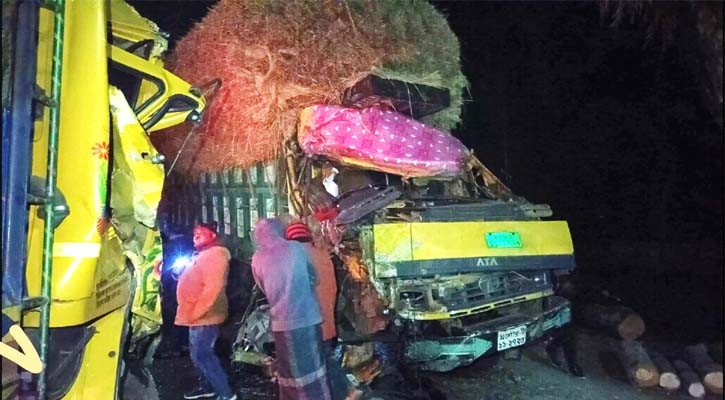ঝিনাইদহে দুই ট্রাকের মুখোমুখি সংঘর্ষে একজন নিহত