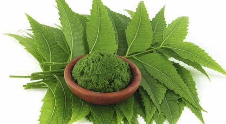 শরীরের সৌন্দর্য চর্চা থেকে সব কিছুতেই নিমপাতা উপকারী