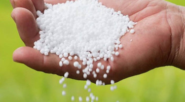 সৌদি থেকে আসবে ৮০ হাজার টন ইউরিয়া, নওগাঁ-বগুড়ায় হবে বাফার গুদাম