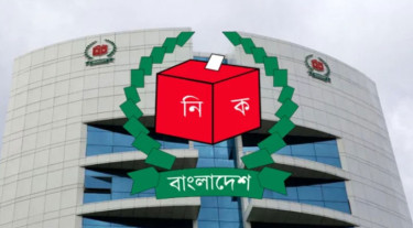 সংসদ-গণভোট ও ফল প্রকাশ যেভাবে