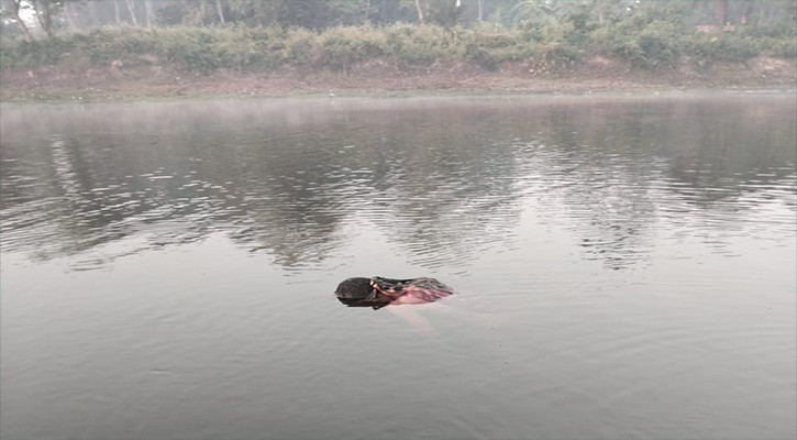 যশোরের সীমান্তঘেঁষা বাঁওড় থেকে কিশোরের লাশ উদ্ধার