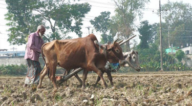 কৃষক তাদের নাম