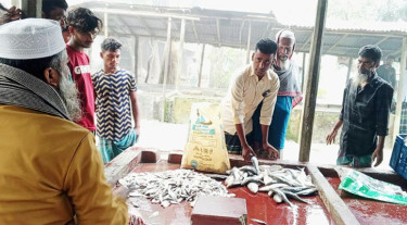 চাঁদপুরে নিষেধাজ্ঞা অমান্য করে প্রকাশ্যে জাটকা বিক্রি