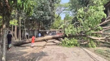 হবিগঞ্জে ঝড়, বিদ্যুৎহীন লক্ষাধিক গ্রাহক