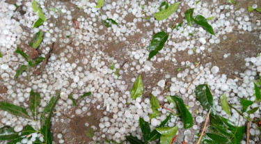 তিন বিভাগে তুলনামূলক বেশি বৃষ্টি, কোথাও শিলাবৃষ্টি হতে পারে