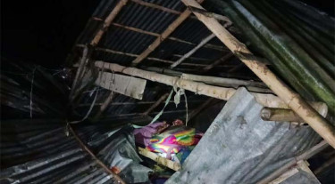 চুয়াডাঙ্গায় ঝড়ে গাছের ডাল ভেঙে স্বামীর মৃত্যু, স্ত্রী আহত