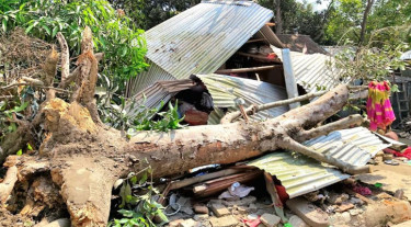 কালবৈশাখী ঝড়ে ঘরের ওপর গাছ পড়ে নারীর মৃত্যু