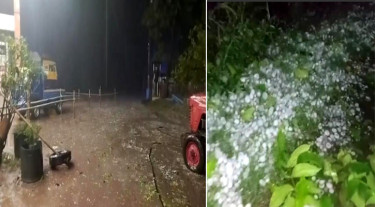 পঞ্চগড়ে হঠাৎ ঝড়-শিলাবৃষ্টি, ফসলের ব্যাপক ক্ষতির শঙ্কা