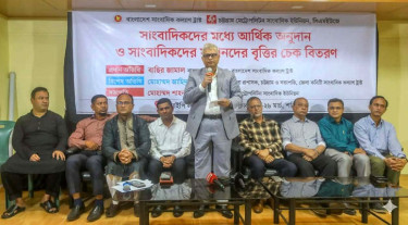সাংবাদিকদের কল্যাণে নতুন উদ্যোগের পরিকল্পনা করছে সরকার: বাছির জামাল