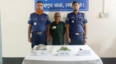 সবজির আড়ালে গাঁজা চাষ