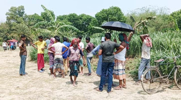 মাগুরায় ঘাসের জমি থেকে নারীর লাশ উদ্ধার