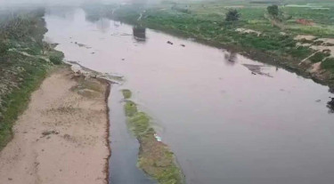 বাংলাদেশ সীমান্তবর্তী নদীতে সাপ-কুমির ছাড়ার চিন্তা বিএসএফের: দ্য ফেডারেল