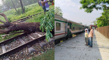 ঝড়ে গাছ উপড়ে রেললাইনে, নোয়াখালীর সঙ্গে ঢাকার রেল যোগাযোগ বন্ধ