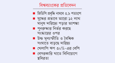 দেশের অর্থনীতি এখন নড়বড়ে