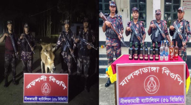 পঞ্চগড় সীমান্তে চোরাই মদ-গরু জব্দ