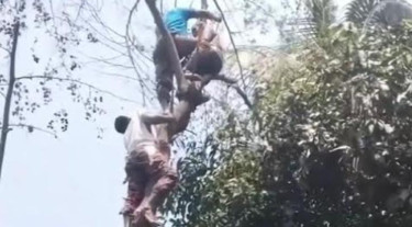জামালপুরে গাছে উঠে অজ্ঞান শ্রমিক, উদ্ধার করল ফায়ার সার্ভিস