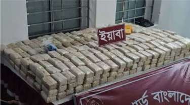 আধুনিক প্রযুক্তির সহায়তায় সাড়ে ৮ লাখের বেশি ইয়াবা উদ্ধার