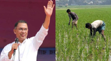 কৃষিঋণ মওকুফে সরকারের খরচ দেড় হাজার কোটি টাকা