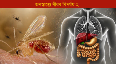 নির্মূলের স্বীকৃতি ঝুঁকিতে, কার্যক্রম স্থবিরতায় ফিরতে পারে কালাজ্বর