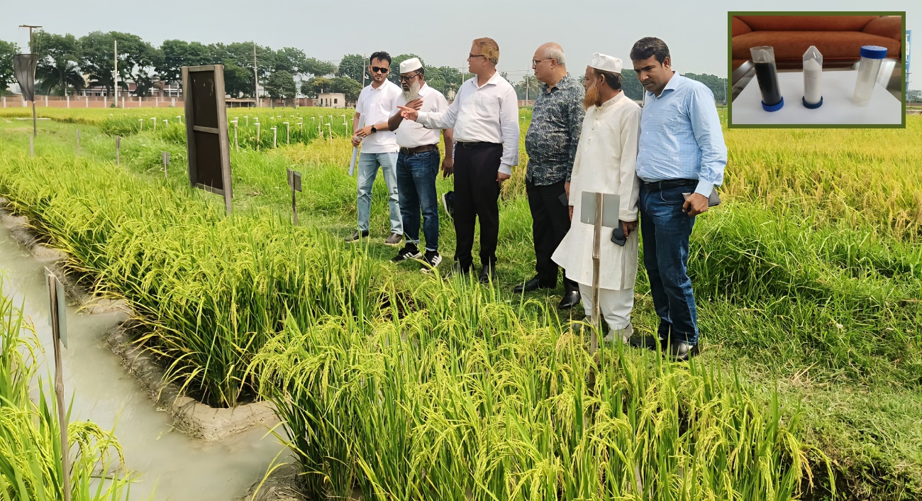 ন্যানো ইউরিয়ায় কৃষি বিপ্লবের সম্ভাবনা