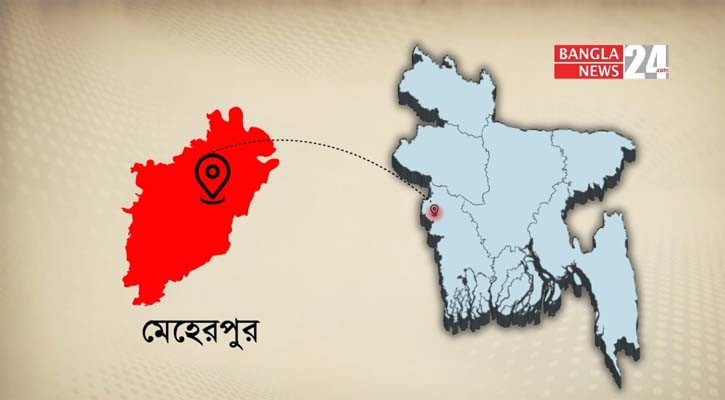 মেহেরপুরে ট্রলির ধাক্কায় শিশু নিহত