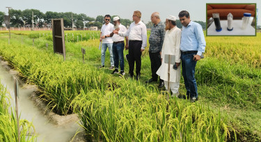 ন্যানো ইউরিয়ায় কৃষি বিপ্লবের সম্ভাবনা
