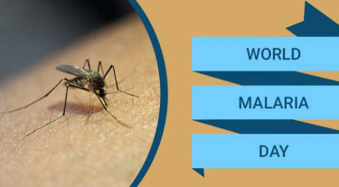 আজ বিশ্ব ম্যালেরিয়া দিবস, উচ্চ ঝুঁকিতে ১৩ জেলা