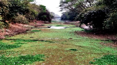 প্রাণ ফিরছে ‘জিয়া খালে’