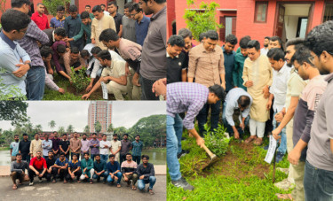 ঢাবির ফজলুল হক মুসলিম হলে ছাত্রদলের বৃক্ষরোপণ কর্মসূচি