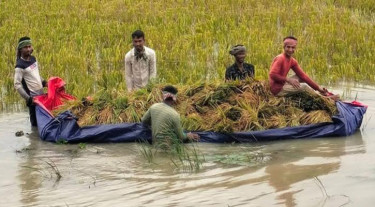 সিলেটে নদ-নদীর পানি বাড়লেও নেই বন্যার শঙ্কা