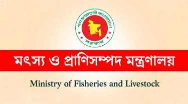 প্রাণিসম্পদ অধিদপ্তর সম্পর্কিত ভুয়া অনুমতিপত্র বিষয়ে সতর্কতা