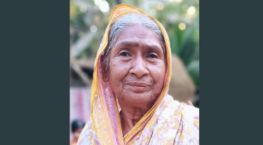 ভাণ্ডারিয়ায় ঝড়ে গাছ পড়ে প্রাণ গেল বৃদ্ধার