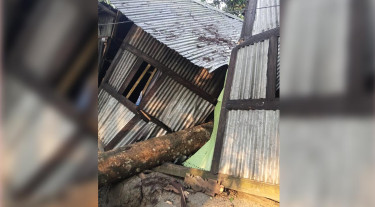 বরিশালে ঝড়ে ঘরের ওপর গাছ পড়ে গৃহবধূর মৃত্যু